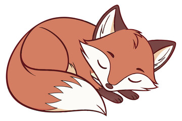 Sleeping Fox Illustration on White