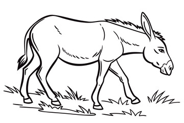 Donkey Illustration on White Background