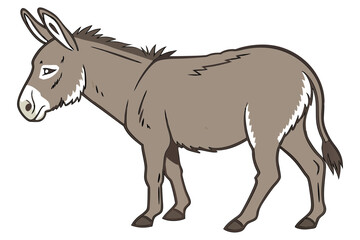 Cute Donkey on Clean White