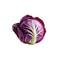 Obraz premium Single Vibrant Purple Cabbage Isolated on Transparent Background