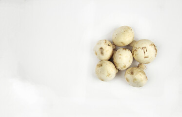 Five champignons on a white background