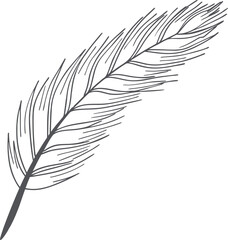 Hand-drawn single feather outline in minimal black line style on white background. Elegant nature-inspired sketch illustration for stationery, branding, and digital design use.