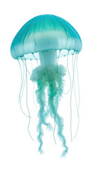 Naklejka premium Translucent jellyfish with vibrant blue and green hues, gracefully floating in water, showcasing its delicate tentacles and bell shape