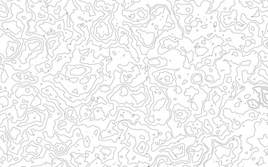 Fototapeta premium seamless pattern with floral elements