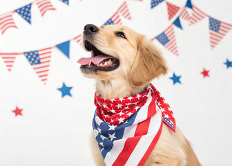 4th of July Golden Retriever Puppy with Star Glasses
