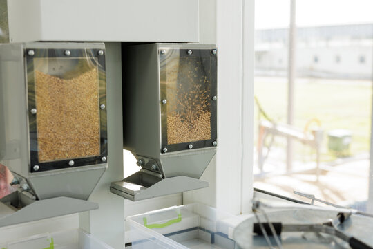 Modern Laboratory Seed Sorting Machine for Agricultural Quality Control and Food Safety Testing