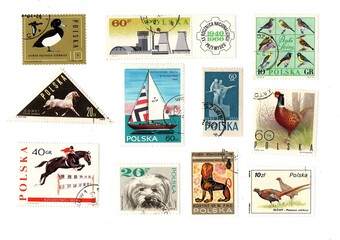 Vintage postage stamps from Poland isolated on a white background.
