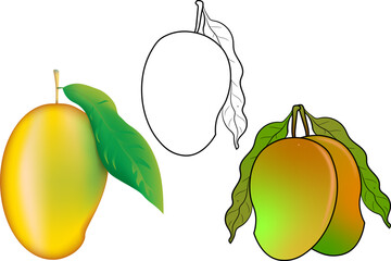 mango vector illustration with white background