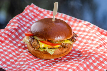Burger with meat cutlet and vegetables on paper