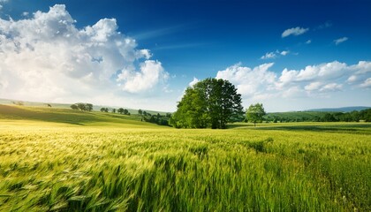 summer sale landscape countryside tree field cloud nature scene