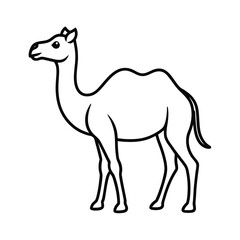 Fototapeta premium camel animal outline vector art