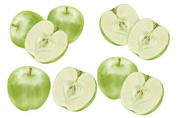 Green Apple Handdrawn Illustration