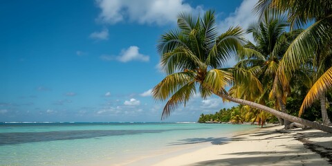 Azure Skies and Turquoise Dreams A Tropical Paradise Beckons with Palm Trees White Sand and Gentle Waves Inviting Relaxation and Serenity in a Breathtaking Coastal Escape