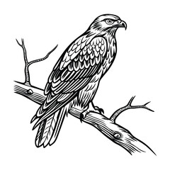 Fototapeta premium silhouette of bird on branch black and white line art illustration vector graphic