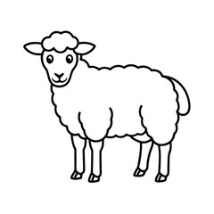 sheep and lamb