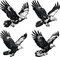 Fototapeta premium Four Eagles Flying Formation Black White Line Art Birds Prey