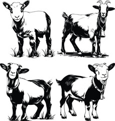 Cute Goat Faces Batch Black White Line Art Collection