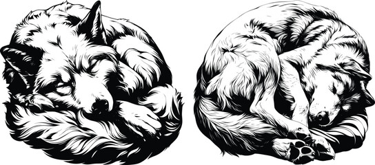 Two Dogs Curled Sleeping Position Black White Line Art