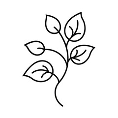 vine leaf plant outline vector art