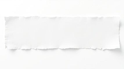 torn paper with copy space
