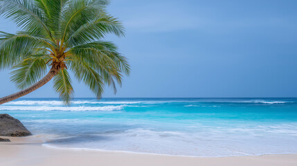 Tropical beach scene with palm tree and turquoise water