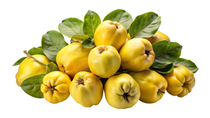 Pile of freshly picked quince fruit with vibrant green leaves around them