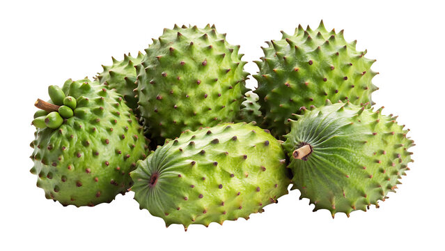 Heap of fresh ripe green soursops with spiky skin, organic and healthy