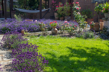 rustical garden - stone paved garden path and flowers