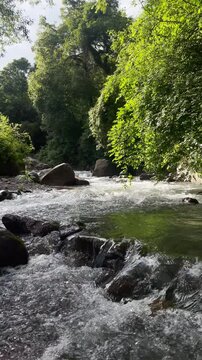 Fast-Flowing Stream Through Forest Rocks in the Yungas of Jujuy, Argentina - 4K Vertical