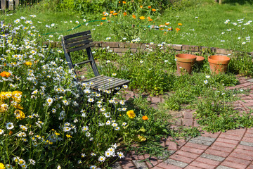 herb spiral in the garden with fresh herbs and flowers