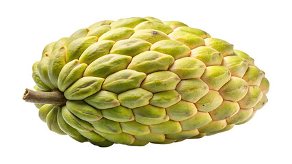 Close up of a fresh, ripe and organic Sugarapple or Sweetsop
