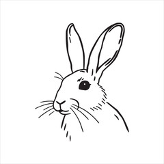 Arctic Hare – Fast and Fluffy Survivor of Cold Climates and Icy Landscapes