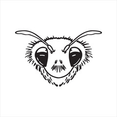 Honey Bee – Winged Worker Known for Hive, Honey, and Environmental Importance