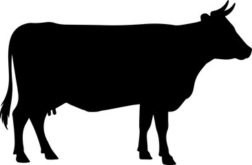 Cow graphic icon. Cow black silhouette isolated on white background. Vector illustration silhouette