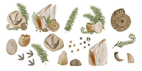 Set of prehistoric fossils. Stones and ancient dinosaur tracks. Fern and predator teeth and fangs. Ancient museum artifacts. Watercolor illustration without background. Hand drawing. © Alena Sid