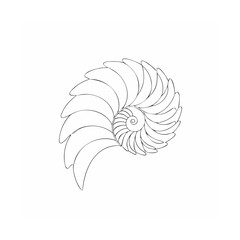 Spiral nautilus shell