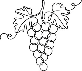 Grapes continuous line drawing. Hand drawn vector illustration isolated on white background.