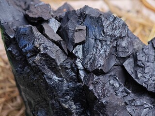 Pieces of lignite from a mine.