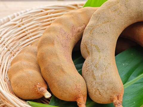 Pile of ripe tamarind fruits with green leaves.