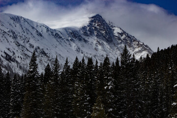 snow covered mountains
