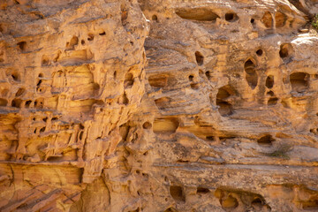 texture of the stone