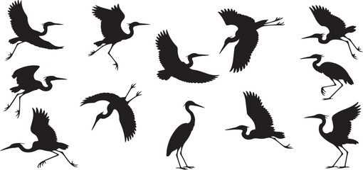 Obraz premium Collection of heron silhouettes in various poses