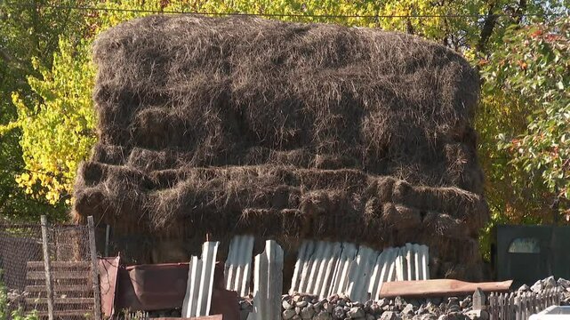 A close-up of golden hay, followed by a wide shot of a large hayrick on a farm in a sunny, rustic village with a dirt road and autumn trees.