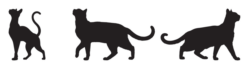 Black Cat Walking Silhouettes Vector Icon Set
