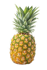 Fototapeta premium Whole ripe pineapple standing upright isolated on transparent background, tropical fruit with spiky crown and textured skin, high resolution for food, health, and design use
