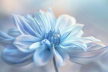 A close-up of a dahlia flower with blue and white petals, softly lit against a blurred background. Focus is on the flower's intricate details.