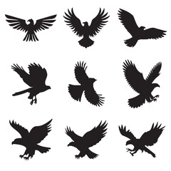 Majestic Vector Bald Eagle in Flying