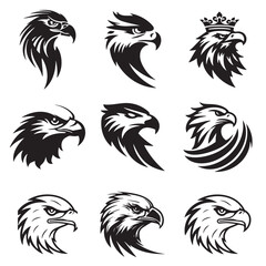 Majestic Bald Eagle Face and Beak