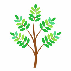 Simple Green Tree with Leaves Vector