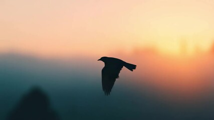 Silhouette of a bird in flight at sunset - Powered by Adobe